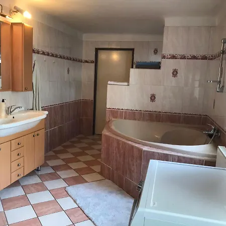 Dvacitka Lejlighed Ceske Budejovice